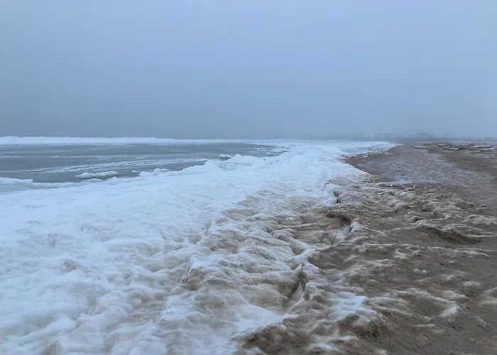 Apartamentai Kopos * Palanga